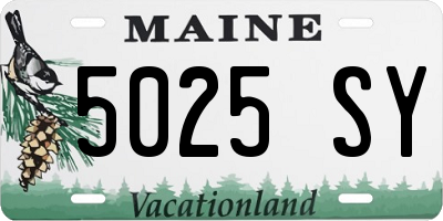 ME license plate 5025SY