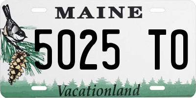 ME license plate 5025TO