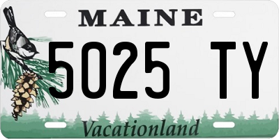 ME license plate 5025TY