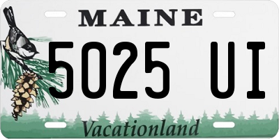 ME license plate 5025UI