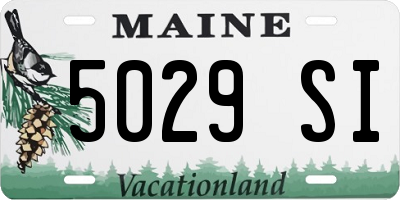 ME license plate 5029SI
