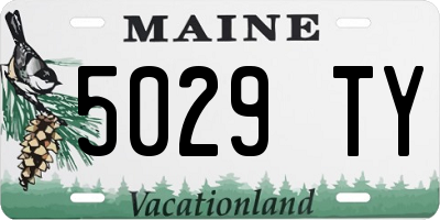 ME license plate 5029TY