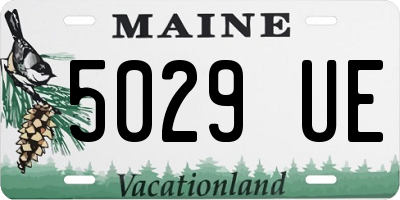 ME license plate 5029UE