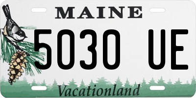 ME license plate 5030UE