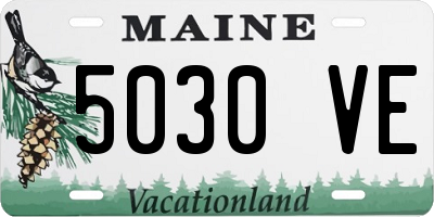 ME license plate 5030VE