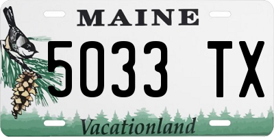 ME license plate 5033TX