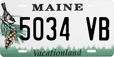 ME license plate 5034VB