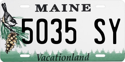 ME license plate 5035SY