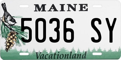 ME license plate 5036SY
