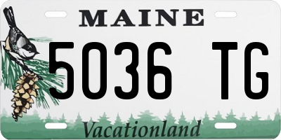 ME license plate 5036TG