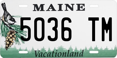 ME license plate 5036TM