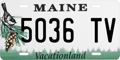 ME license plate 5036TV