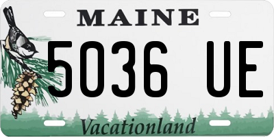 ME license plate 5036UE