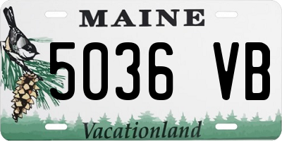 ME license plate 5036VB