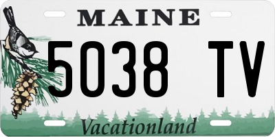 ME license plate 5038TV