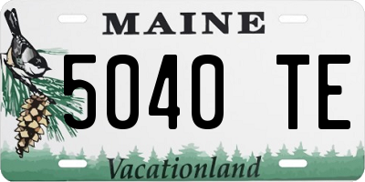 ME license plate 5040TE