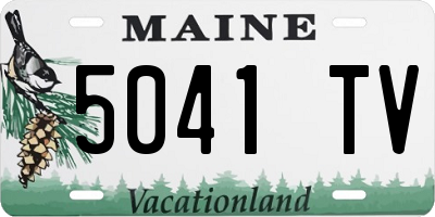 ME license plate 5041TV