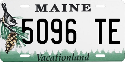 ME license plate 5096TE