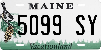 ME license plate 5099SY