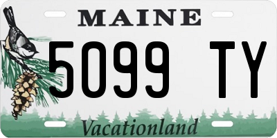 ME license plate 5099TY