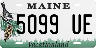 ME license plate 5099UE