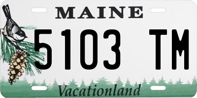 ME license plate 5103TM
