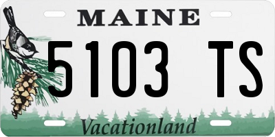 ME license plate 5103TS
