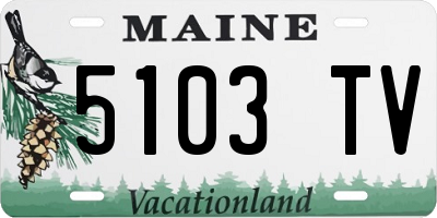 ME license plate 5103TV