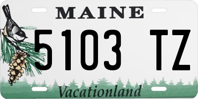 ME license plate 5103TZ