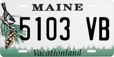 ME license plate 5103VB