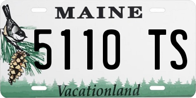 ME license plate 5110TS