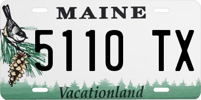 ME license plate 5110TX