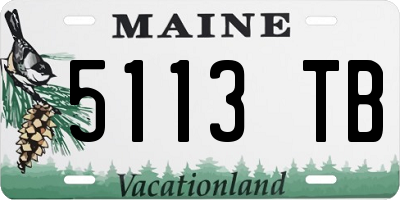ME license plate 5113TB