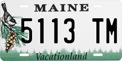 ME license plate 5113TM