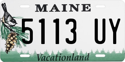 ME license plate 5113UY