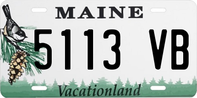 ME license plate 5113VB