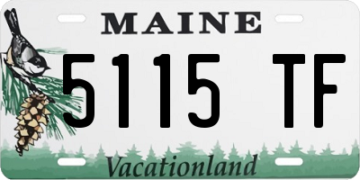 ME license plate 5115TF