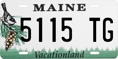 ME license plate 5115TG