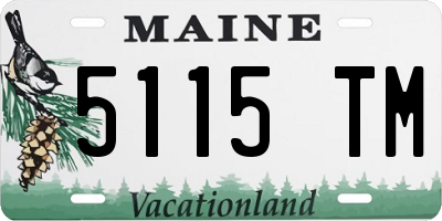 ME license plate 5115TM