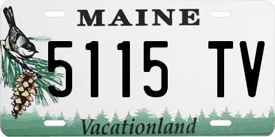 ME license plate 5115TV