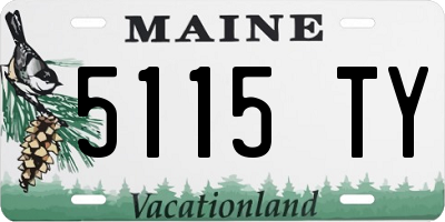 ME license plate 5115TY