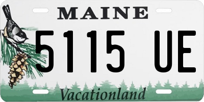 ME license plate 5115UE