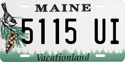 ME license plate 5115UI