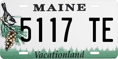 ME license plate 5117TE
