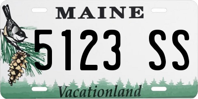 ME license plate 5123SS