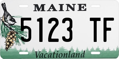 ME license plate 5123TF