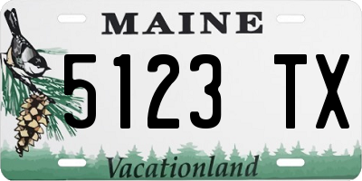 ME license plate 5123TX