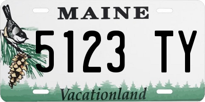 ME license plate 5123TY