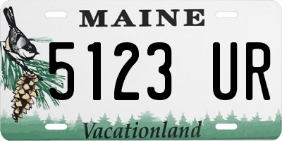 ME license plate 5123UR