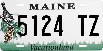 ME license plate 5124TZ